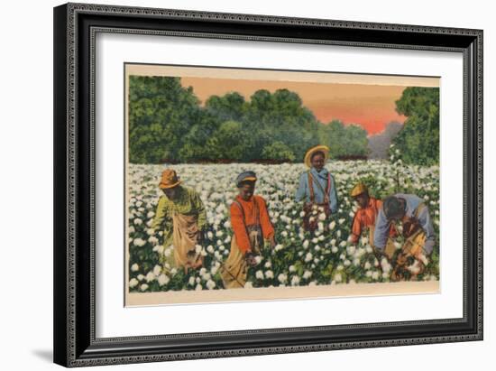 Cotton Picking, Augusta, Georgia, 1943-null-Framed Giclee Print