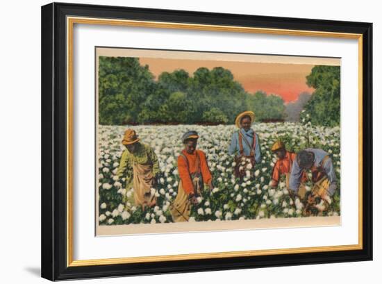 Cotton Picking, Augusta, Georgia, 1943-null-Framed Giclee Print