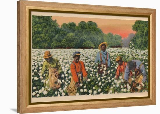 Cotton Picking, Augusta, Georgia, 1943-null-Framed Premier Image Canvas