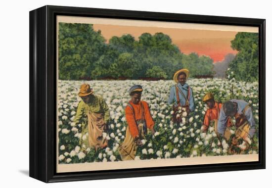 Cotton Picking, Augusta, Georgia, 1943-null-Framed Premier Image Canvas