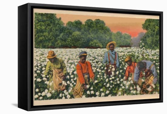 Cotton Picking, Augusta, Georgia, 1943-null-Framed Premier Image Canvas