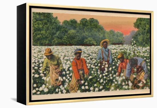 Cotton Picking, Augusta, Georgia, 1943-null-Framed Premier Image Canvas