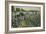 Cotton Picking, Augusta, Georgia, C1900-null-Framed Giclee Print