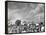 Cotton Picking Machine Doing the Work of 25 Field Hands on Large Farm in the South-Margaret Bourke-White-Framed Premier Image Canvas