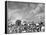 Cotton Picking Machine Doing the Work of 25 Field Hands on Large Farm in the South-Margaret Bourke-White-Framed Premier Image Canvas