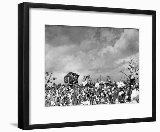 Cotton Picking Machine Doing the Work of 25 Field Hands on Large Farm in the South-Margaret Bourke-White-Framed Premium Photographic Print