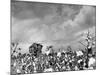 Cotton Picking Machine Doing the Work of 25 Field Hands on Large Farm in the South-Margaret Bourke-White-Mounted Premium Photographic Print