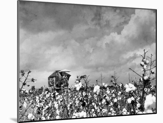 Cotton Picking Machine Doing the Work of 25 Field Hands on Large Farm in the South-Margaret Bourke-White-Mounted Photographic Print