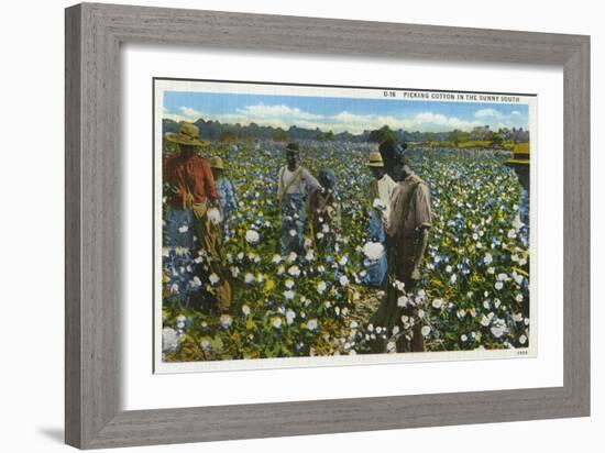 Cotton Plantation-null-Framed Art Print