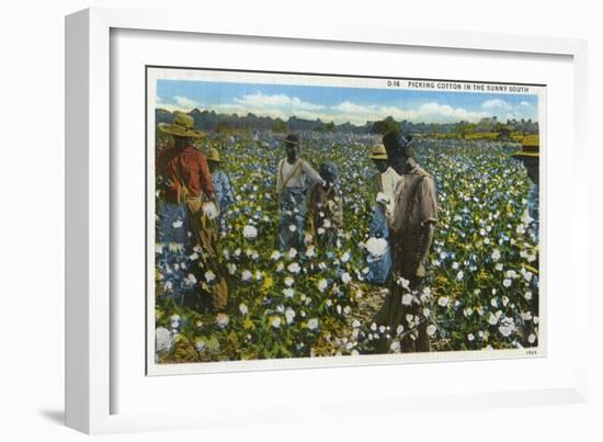 Cotton Plantation-null-Framed Art Print