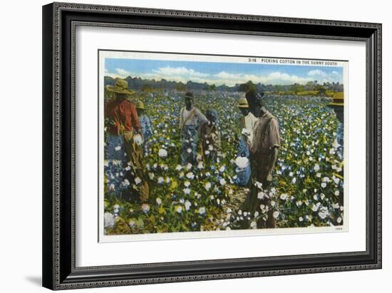 Cotton Plantation-null-Framed Art Print