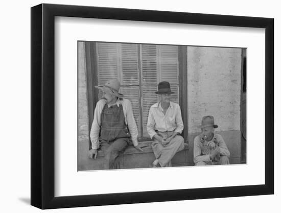 Cotton sharecroppers Frank Tengle, Bud Fields, and Floyd Burroughs in Hale County, Alabama, 1936-Walker Evans-Framed Photographic Print