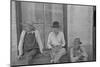 Cotton sharecroppers Frank Tengle, Bud Fields, and Floyd Burroughs in Hale County, Alabama, 1936-Walker Evans-Mounted Photographic Print