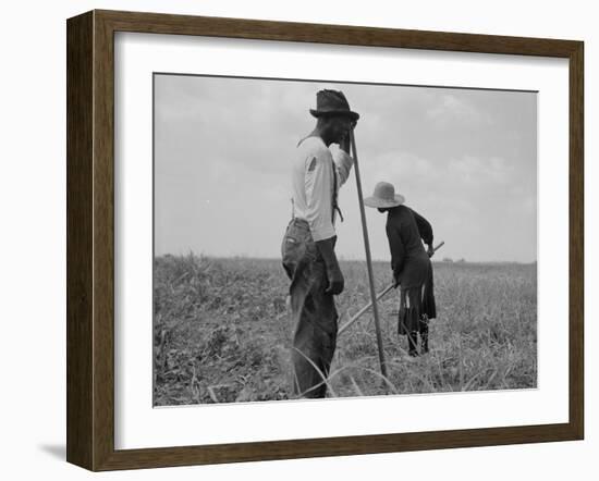 Cotton sharecroppers Georgia, 1937-Dorothea Lange-Framed Photographic Print