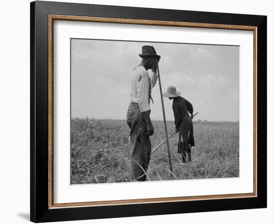 Cotton sharecroppers Georgia, 1937-Dorothea Lange-Framed Photographic Print