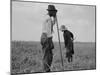 Cotton sharecroppers Georgia, 1937-Dorothea Lange-Mounted Photographic Print