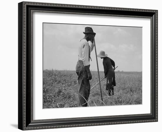 Cotton sharecroppers Georgia, 1937-Dorothea Lange-Framed Photographic Print