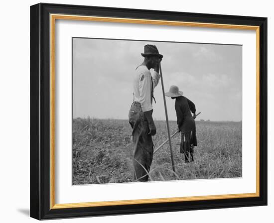 Cotton sharecroppers Georgia, 1937-Dorothea Lange-Framed Photographic Print