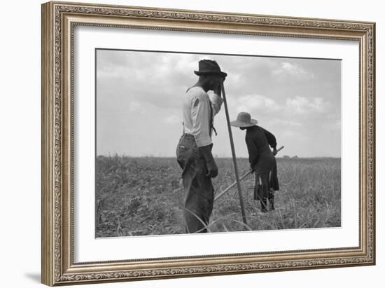 Cotton Sharecroppers-Dorothea Lange-Framed Art Print