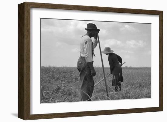 Cotton Sharecroppers-Dorothea Lange-Framed Art Print