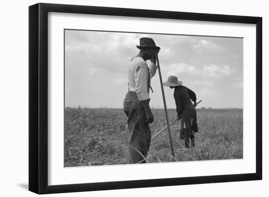 Cotton Sharecroppers-Dorothea Lange-Framed Art Print