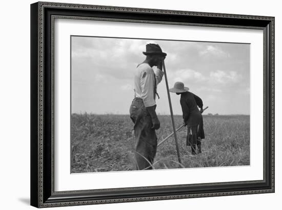 Cotton Sharecroppers-Dorothea Lange-Framed Art Print