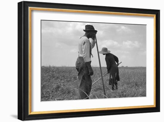 Cotton Sharecroppers-Dorothea Lange-Framed Art Print