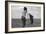 Cotton Sharecroppers-Dorothea Lange-Framed Art Print