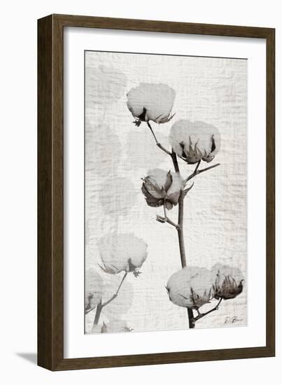 Cotton Stem 1-Denise Brown-Framed Premium Giclee Print