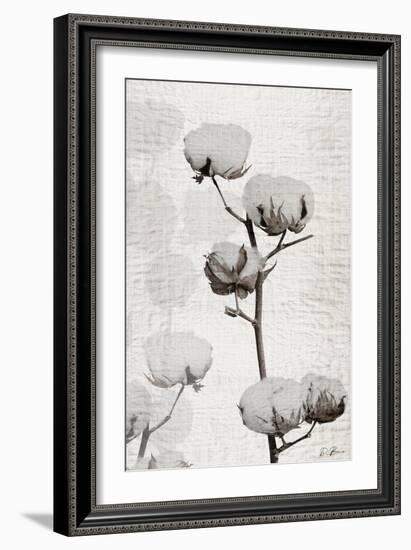 Cotton Stem 1-Denise Brown-Framed Premium Giclee Print