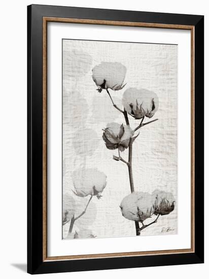 Cotton Stem 1-Denise Brown-Framed Art Print