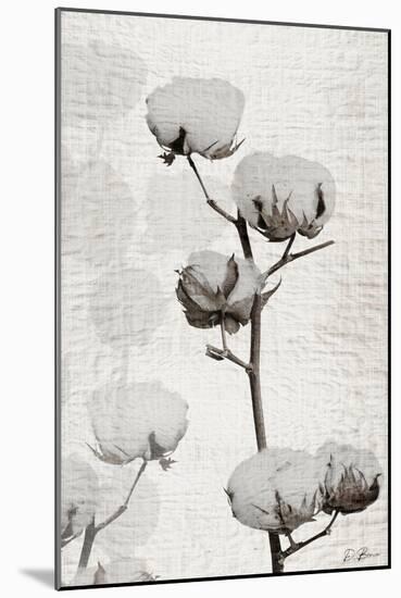 Cotton Stem 1-Denise Brown-Mounted Art Print