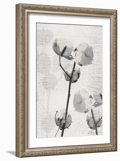 Cotton Stem 2-Denise Brown-Framed Premium Giclee Print