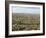 Cotton, Texas, USA-Ethel Davies-Framed Photographic Print