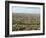 Cotton, Texas, USA-Ethel Davies-Framed Photographic Print