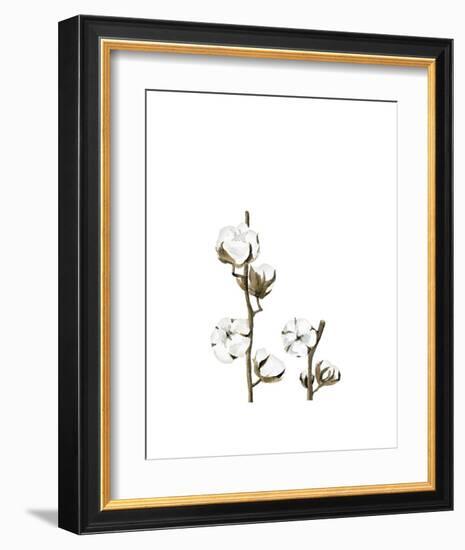 Cotton-Ann Solo-Framed Art Print