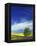 Cottonwood and Canola fields, Whitman County, Washington, USA-Charles Gurche-Framed Premier Image Canvas