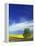 Cottonwood and Canola fields, Whitman County, Washington, USA-Charles Gurche-Framed Premier Image Canvas