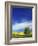 Cottonwood and Canola fields, Whitman County, Washington, USA-Charles Gurche-Framed Photographic Print