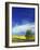 Cottonwood and Canola fields, Whitman County, Washington, USA-Charles Gurche-Framed Photographic Print