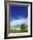 Cottonwood and Canola fields, Whitman County, Washington, USA-Charles Gurche-Framed Photographic Print