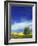 Cottonwood and Canola fields, Whitman County, Washington, USA-Charles Gurche-Framed Photographic Print