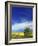 Cottonwood and Canola fields, Whitman County, Washington, USA-Charles Gurche-Framed Photographic Print