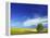 Cottonwood and Canola fields, Whitman County, Washington, USA-Charles Gurche-Framed Premier Image Canvas