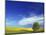 Cottonwood and Canola fields, Whitman County, Washington, USA-Charles Gurche-Mounted Photographic Print