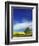 Cottonwood and Canola fields, Whitman County, Washington, USA-Charles Gurche-Framed Photographic Print