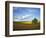 Cottonwood and Palouse Fields, Whitman County, Washington, USA-Charles Gurche-Framed Photographic Print