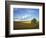 Cottonwood and Palouse Fields, Whitman County, Washington, USA-Charles Gurche-Framed Photographic Print