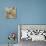 Cottonwood Breeze-Lanie Loreth-Premium Giclee Print displayed on a wall