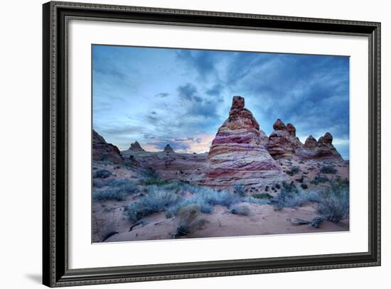 Cottonwood I-Moises Levy-Framed Photographic Print